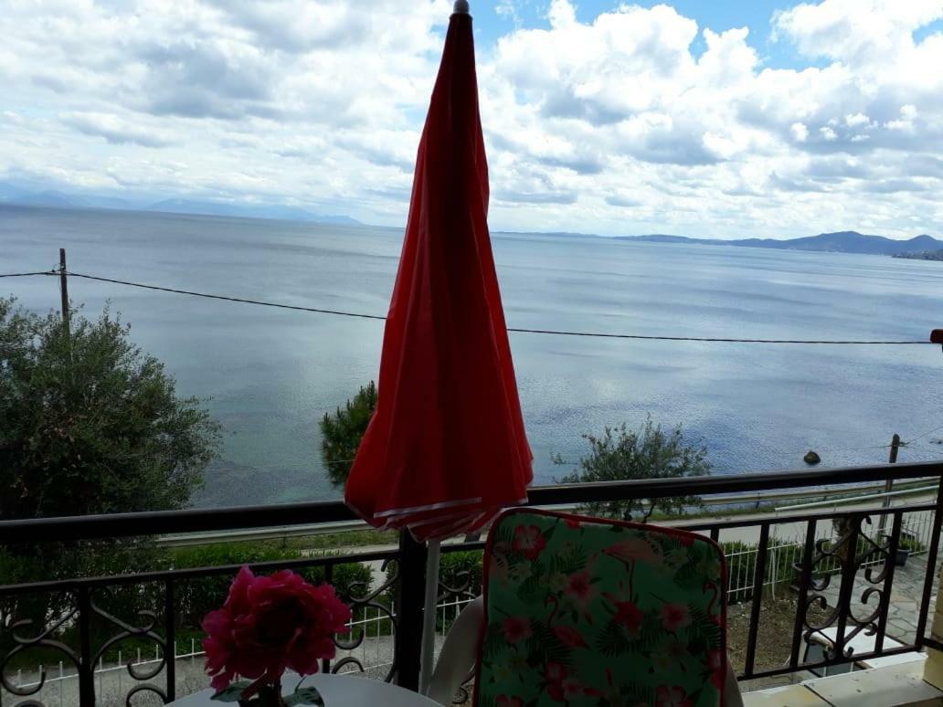 Sol E Mar Sea Side View Guesthouse Perama  Zewnętrze zdjęcie
